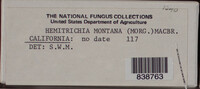 Image Associated With the Occurence